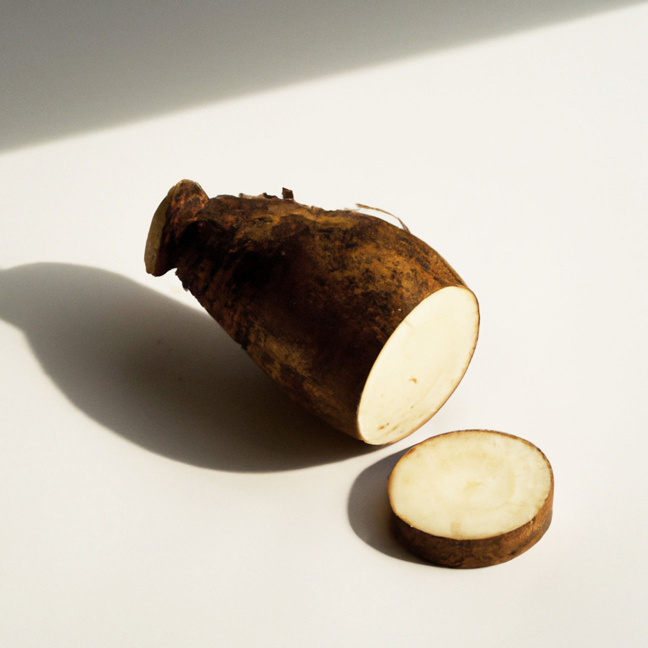 Dioscorea Opposita (Wild Yam) Root Extract M (B) image 2